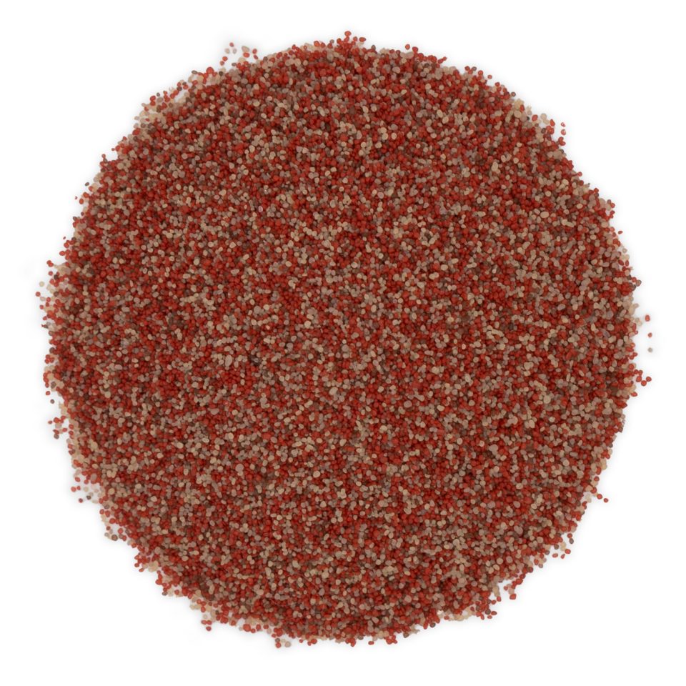 【Ruby】10点 Torginol® | Ruby